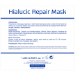 Hialucic Repair Mask